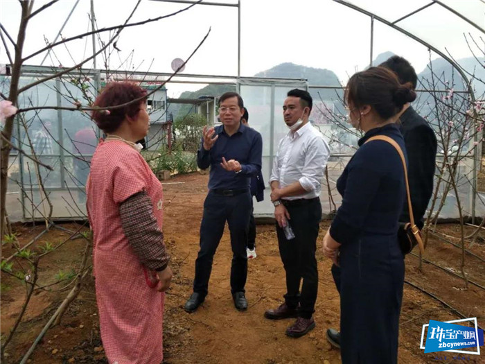 栽下梧桐树 引得凤凰来——深圳珠宝企业考察广西平桂黄金珠宝城 栽下梧桐树 引得凤凰来——深圳珠宝企业考察广西平桂黄金珠宝城
