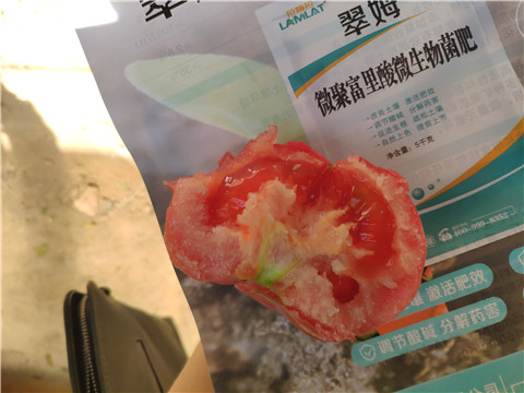 西红柿用什么肥料着色好