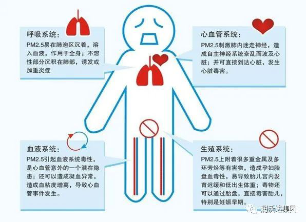 尾气污染的危害你知道多少?