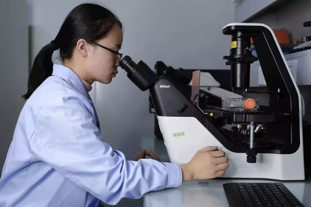 BOB体育官网APP下载生物丨蛋白多肽全产业链研发生产服务商 BOB体育官网APP下载生物丨蛋白多肽全产业链研发生产服务商
