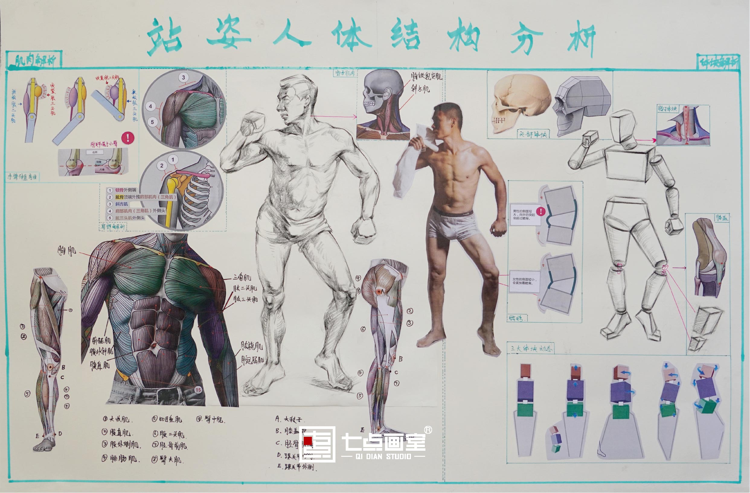 七点战队段位升级 ▏为你的集训艺考神助攻 七点战队段位升级 ▏为你的集训艺考神助攻