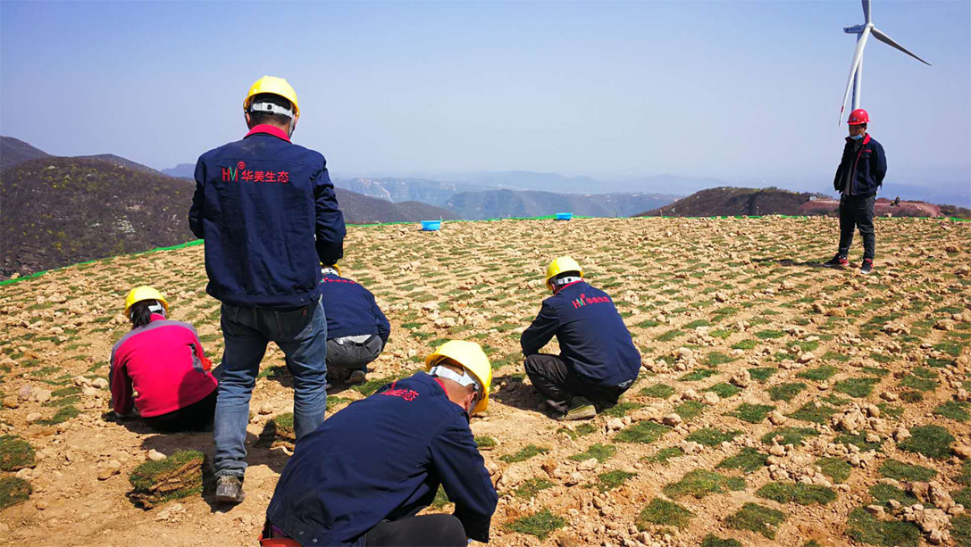 华美生态承建的风电生态修复项目安全有序施工中  