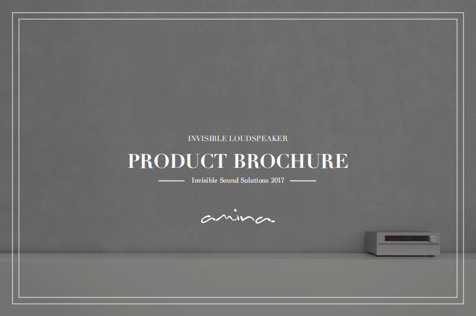 Amina Brochure