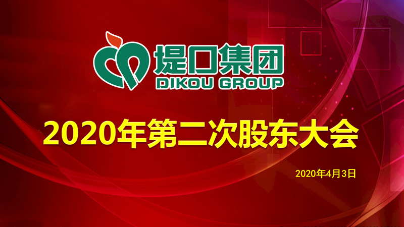 集团公司召开2020年第二次股东会