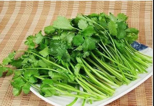 十种最养生食物，你经常吃吗？-西安中天生物