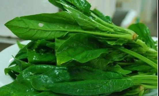 十种最养生食物，你经常吃吗？-西安中天生物
