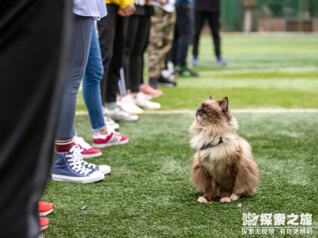 探索新聞 | 勇“橄”向前，無人可擋！