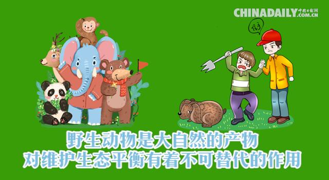 MG动画制作公益宣传动画,保护地球人人有责 MG动画制作公益宣传动画,保护地球人人有责