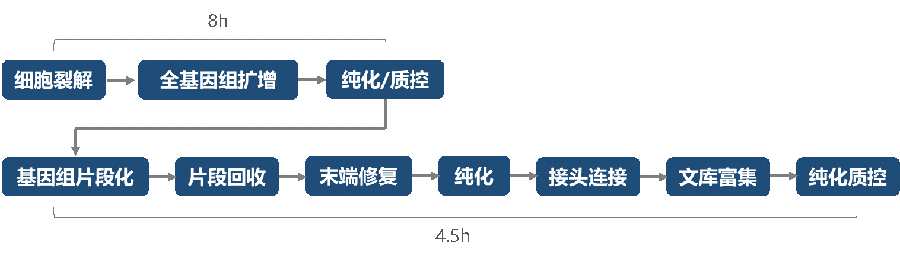GenoCare单细胞文库构建试剂盒 GenoCare单细胞文库构建试剂盒