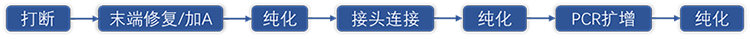GenoCare病原微生物宏基因组测序试剂盒 GenoCare病原微生物宏基因组测序试剂盒
