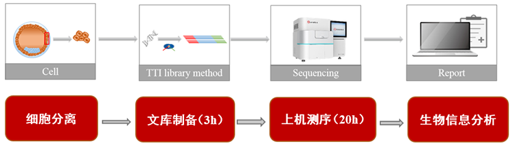 GenoCare单细胞测序试剂盒 GenoCare单细胞测序试剂盒