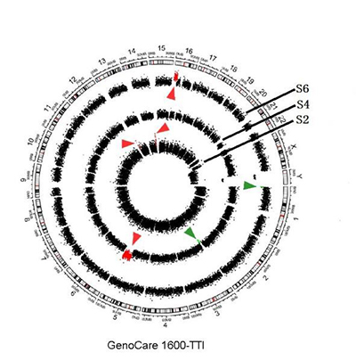 GenoCare单细胞测序试剂盒 GenoCare单细胞测序试剂盒