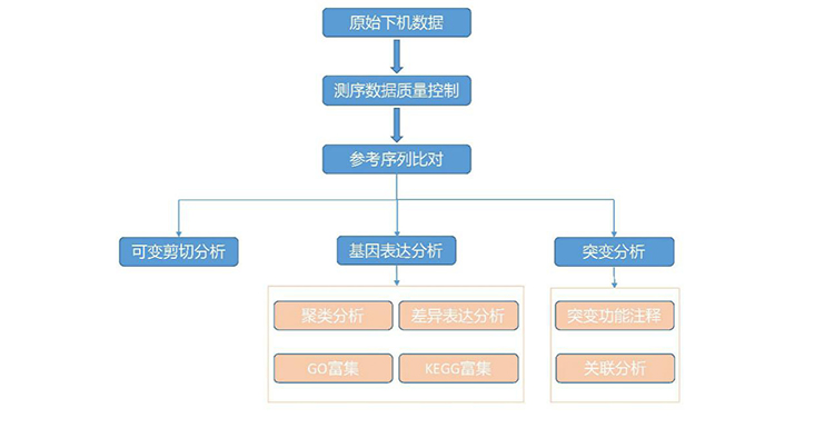 GenoCare转录组测序试剂盒 GenoCare转录组测序试剂盒