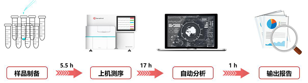 GenoCare转录组测序试剂盒 GenoCare转录组测序试剂盒