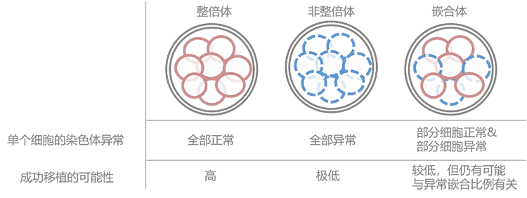 GenoCare胚胎植入前染色体异常检测(PGT-A)试剂盒 GenoCare胚胎植入前染色体异常检测(PGT-A)试剂盒