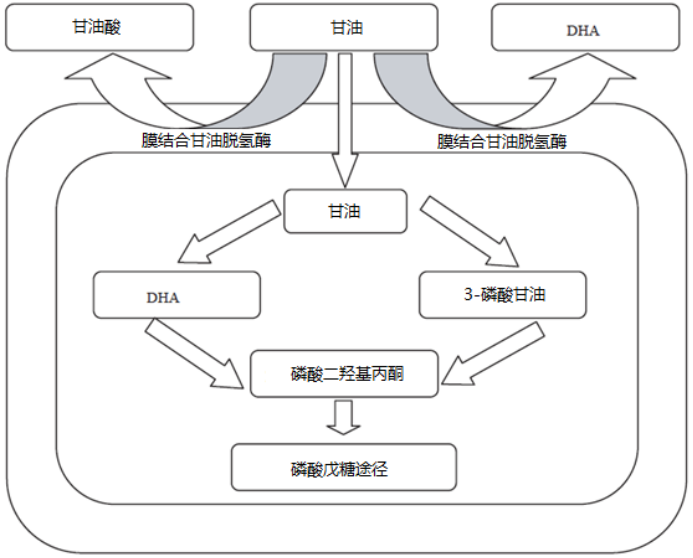 2020-2026年1,3-二羥基丙酮行業市場投資前景及市場深度分析預測