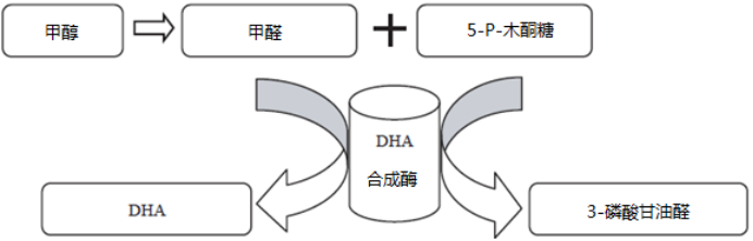 2020-2026年1,3-二羥基丙酮行業市場投資前景及市場深度分析預測