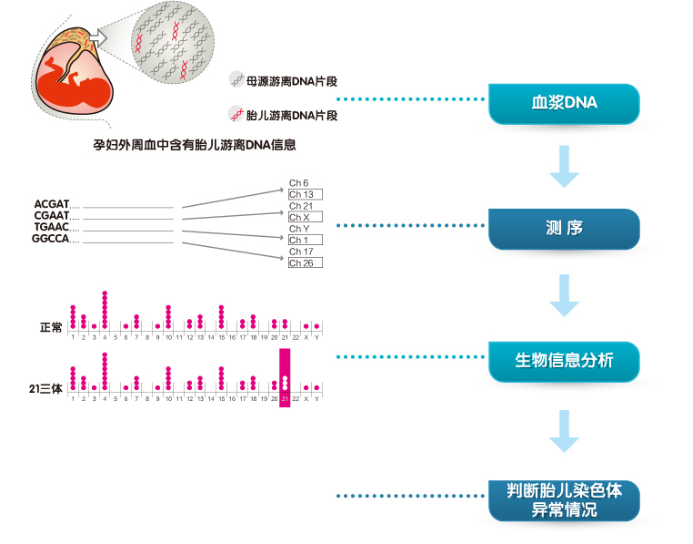 2020-2026年NGS行业市场发展格局研究及投资前景预测分析