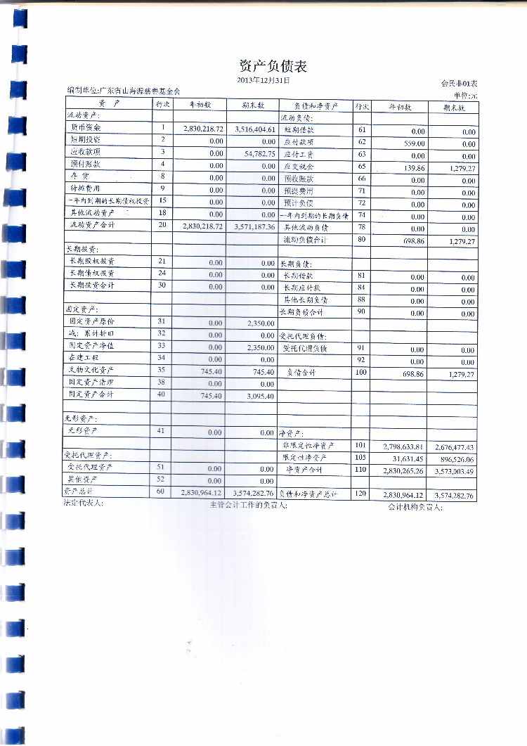 2013年基金会年度工作报告