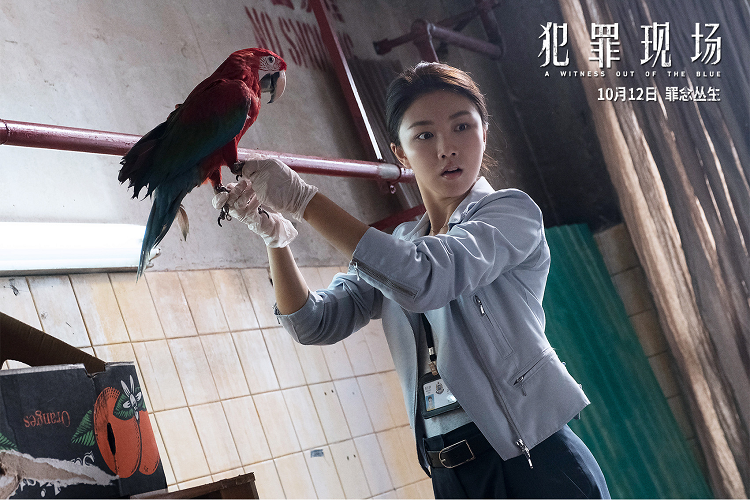 影视投资:《犯罪现场》善恶只在一瞬间,屠龙勇士就会变成恶龙! 影视投资:《犯罪现场》善恶只在一瞬间,屠龙勇士就会变成恶龙!