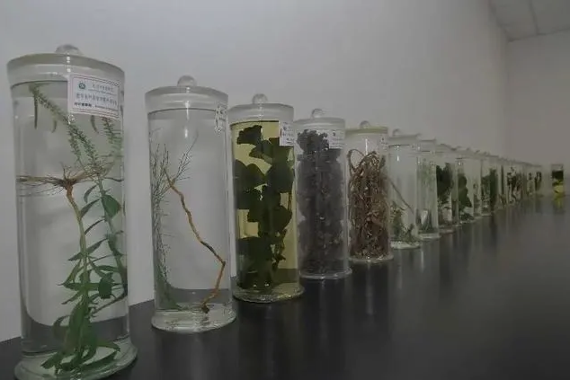 “大数据”将为万博体育助手app下载药带来“大价值” “大数据”将为万博体育助手app下载药带来“大价值”