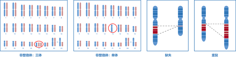 GenoCare流产物拷贝数变异(CNV)检测试剂盒 GenoCare流产物拷贝数变异(CNV)检测试剂盒