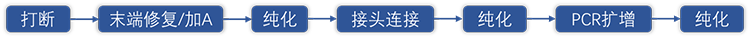 GenoCare流产物拷贝数变异(CNV)检测试剂盒 GenoCare流产物拷贝数变异(CNV)检测试剂盒