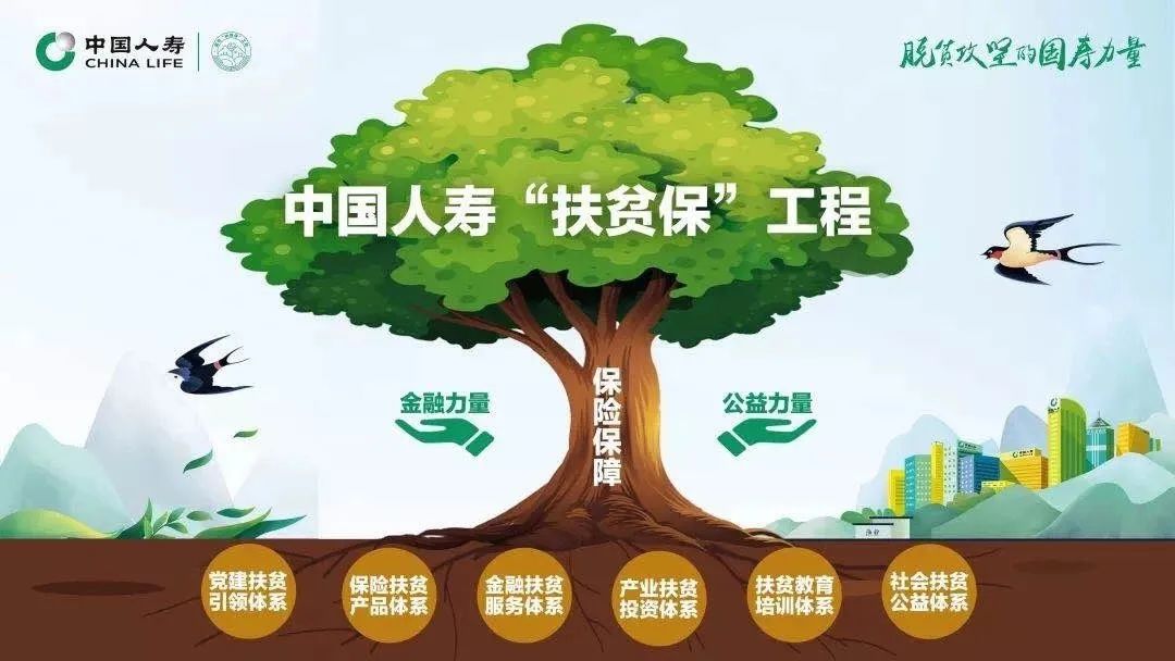 服务大局 守护美好,中国人寿主动担当作为 服务大局 守护美好,中国人寿主动担当作为