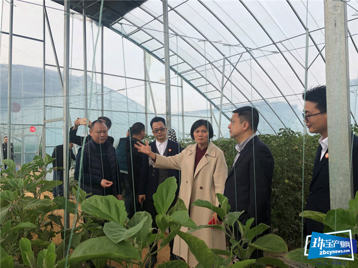 深圳珠宝加工企业组团赴广西平桂考察 深圳珠宝加工企业组团赴广西平桂考察