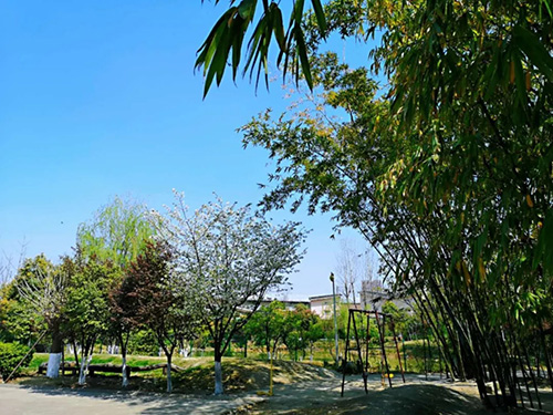 北京师范大学中国教育创新研究院华德福教育研究中心成立 北京师范大学中国教育创新研究院华德福教育研究中心成立