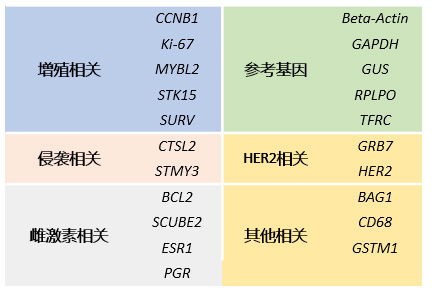 新品上市|直击乳腺癌,泛生子两款新品保护女性健康 新品上市|直击乳腺癌,泛生子两款新品保护女性健康