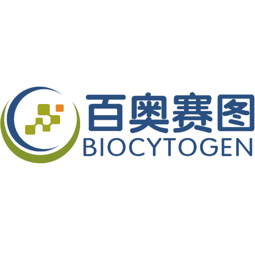 百奧賽圖 百奧賽圖