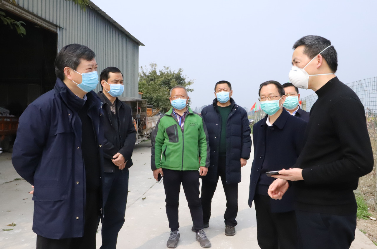 成都市政協副主席楊建德一行蒞臨巨星農牧燎原豬場調研指導 成都市政協副主席楊建德一行蒞臨巨星農牧燎原豬場調研指導