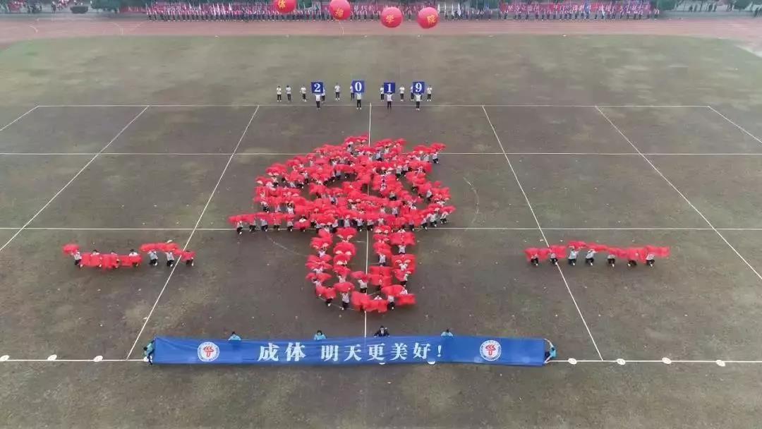 教学活动|我院体育专业代表队参加“2019成都体育 教学活动|我院体育专业代表队参加“2019成都体育
