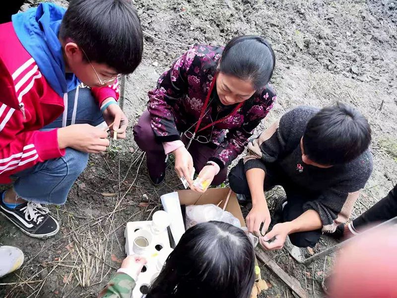在弘博|学生“种菜”忙,实践快乐多 在弘博|学生“种菜”忙,实践快乐多
