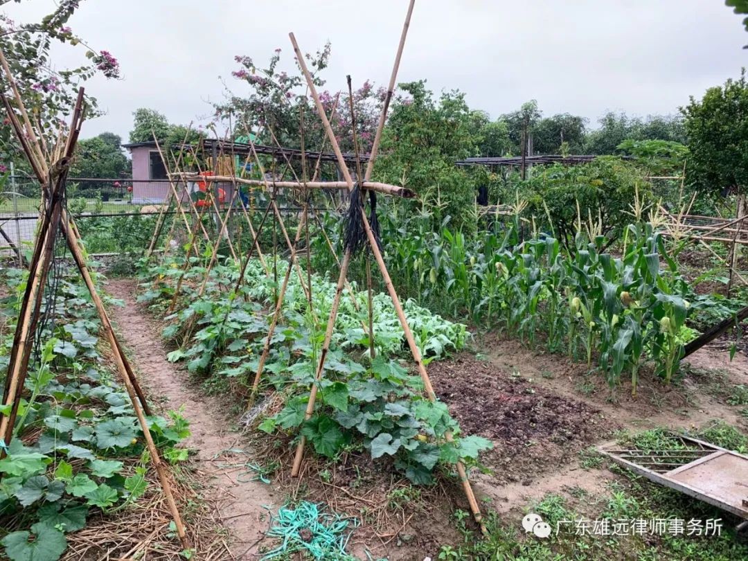 雄远团建 | 最美人间四月天 不负春光与时行——雄远所踏青烧烤团建活动
