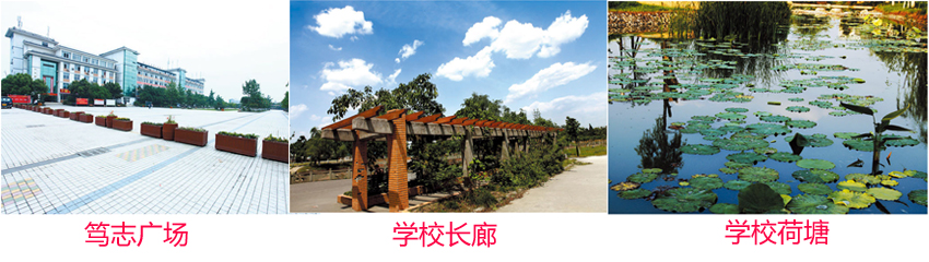 学前教育双语 学前教育双语