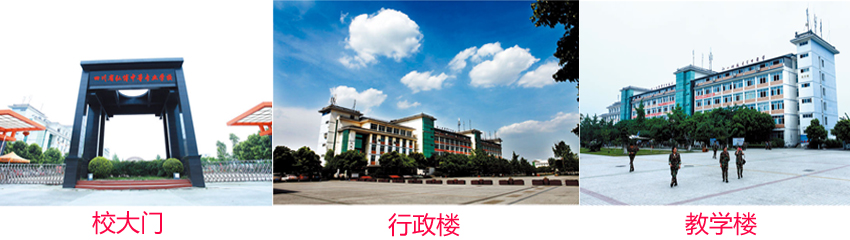 学前教育双语 学前教育双语