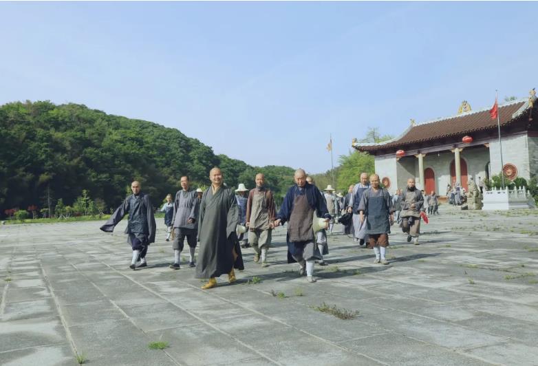 出普坡,采山茶 | 此外别无玄妙事,春风一夜长灵芽 出普坡,采山茶 | 此外别无玄妙事,春风一夜长灵芽