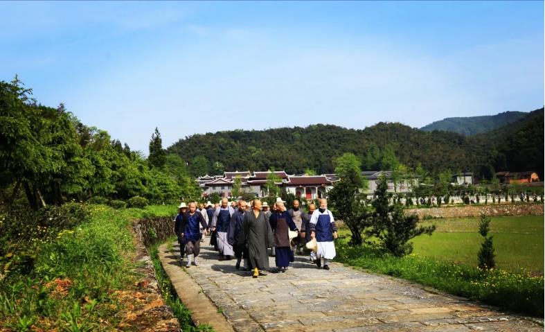 出普坡,采山茶 | 此外别无玄妙事,春风一夜长灵芽 出普坡,采山茶 | 此外别无玄妙事,春风一夜长灵芽