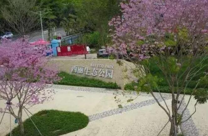 重磅!南山又新增一网红打卡地,西丽生态公园开园啦!! 重磅!南山又新增一网红打卡地,西丽生态公园开园啦!!