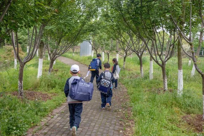 素养汇报行学篇 | 最好的成长在路上