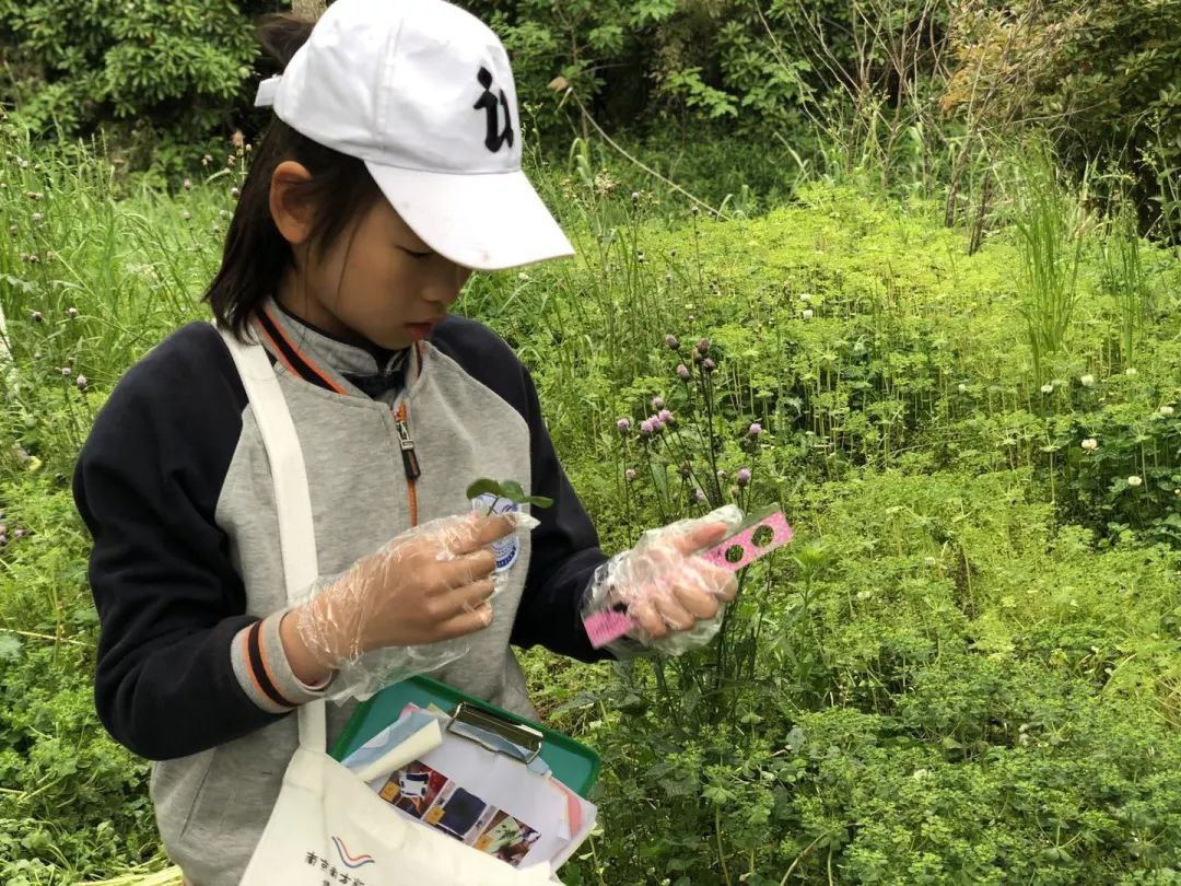 素养汇报行学篇 | 最好的成长在路上