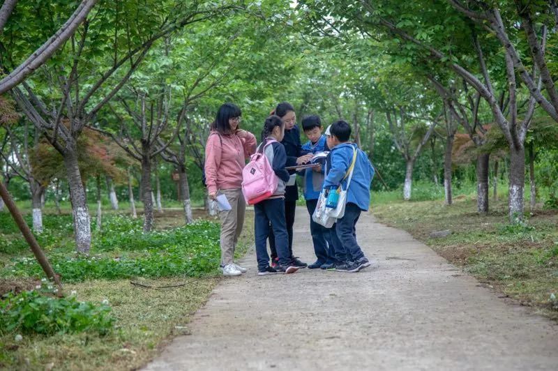 素养汇报行学篇 | 最好的成长在路上