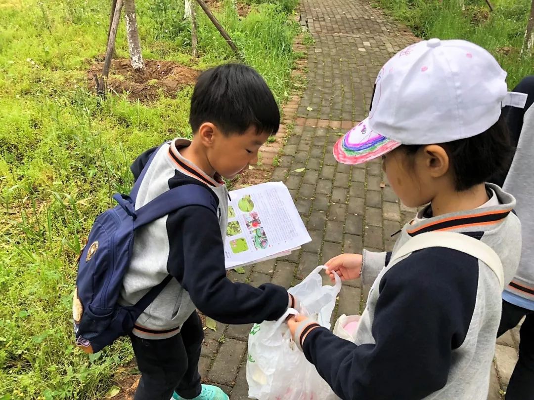 素养汇报行学篇 | 最好的成长在路上