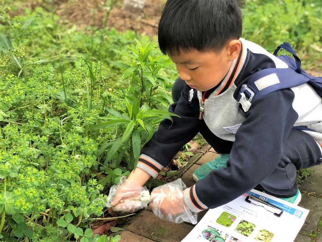 素养汇报行学篇 | 最好的成长在路上