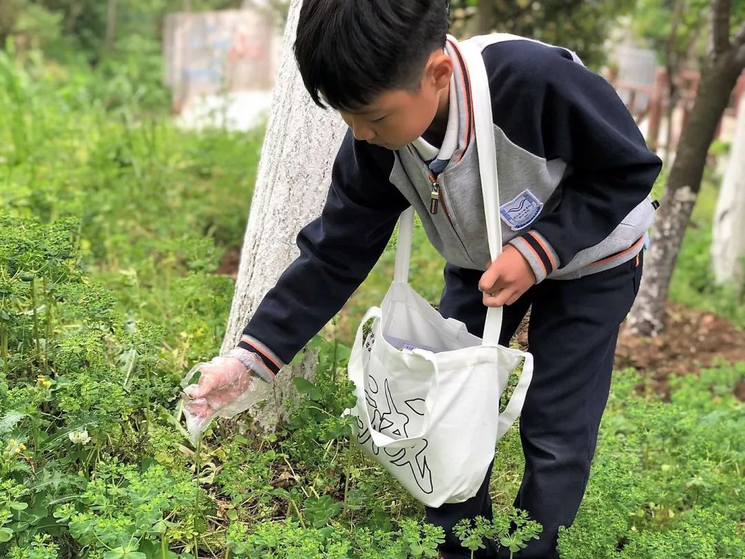 素养汇报行学篇 | 最好的成长在路上