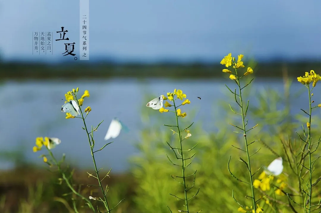 今日立夏,你车上的空调还好么? 今日立夏,你车上的空调还好么?