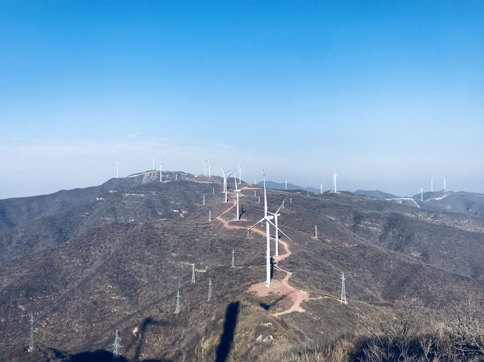 华美生态中标黄河流域风电生态修复项目