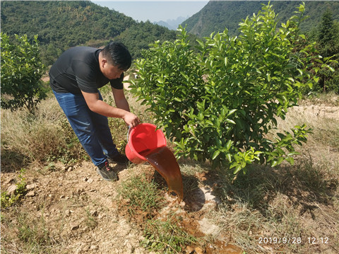 生根剂是根系养护的关键,我们如何正确选择? 生根剂是根系养护的关键,我们如何正确选择?